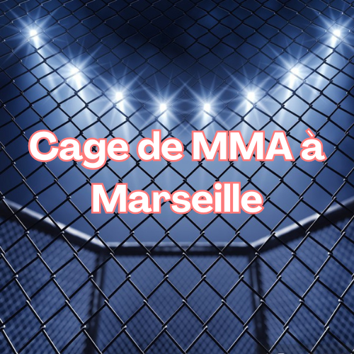 Cage de MMA à Marseille