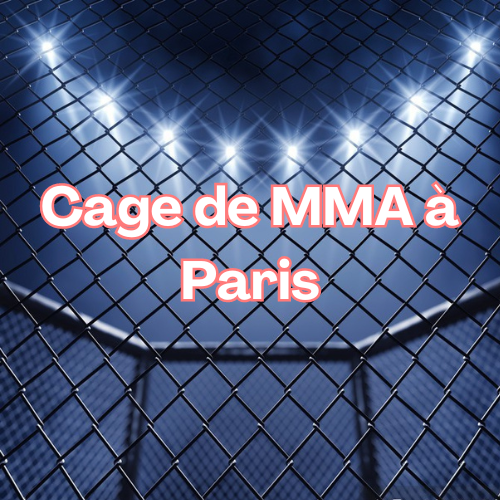 Cage de MMA à Paris