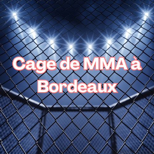 Cage de MMA à Bordeaux