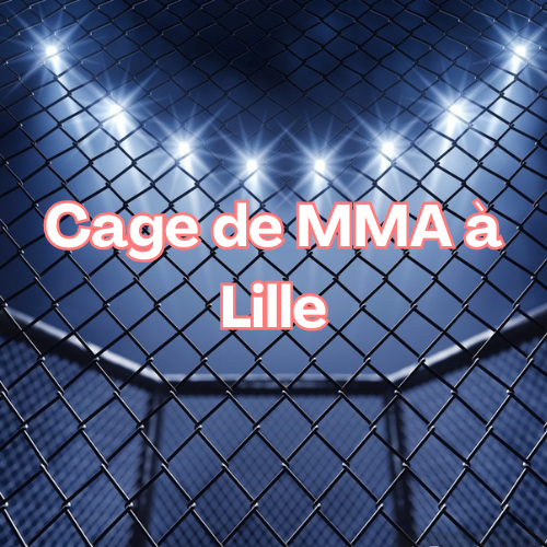 Cage de MMA à Lille