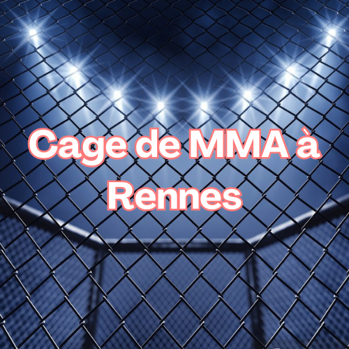 Cage de MMA à Rennes