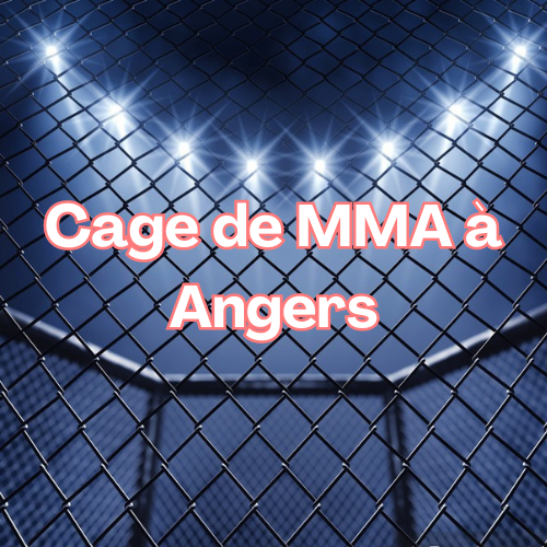 cage mma Angers