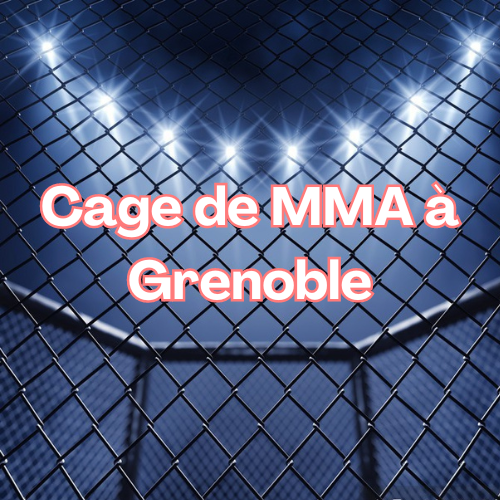 cage mma Grenoble