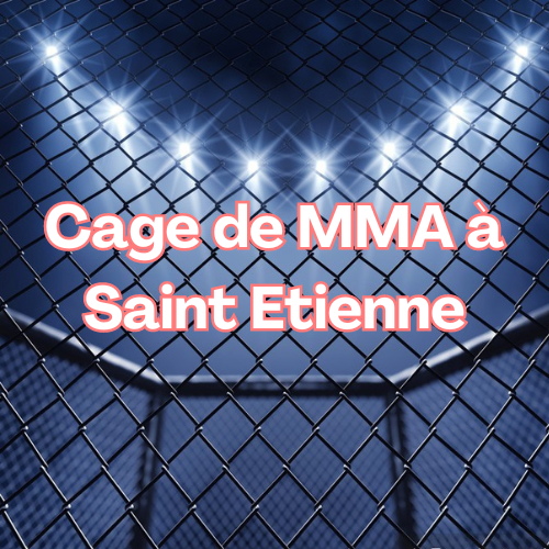 cage mma Saint Étienne