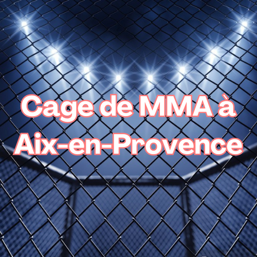 cage mma Aix-en-Provence