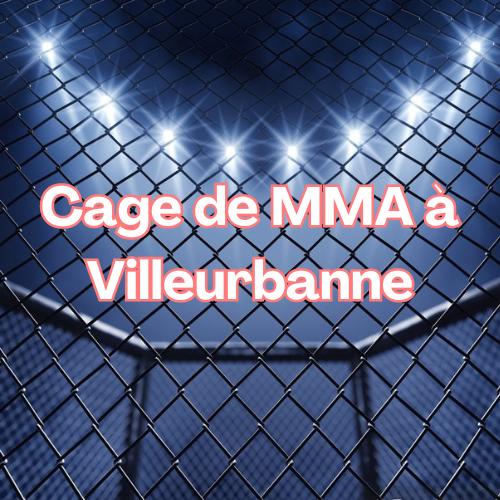 cage mma Villeurbanne